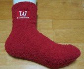 ��ǰ�̹���